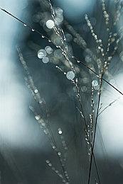 KK官方对战平台全网招募地图代言人，引荐转发抽小米手机！